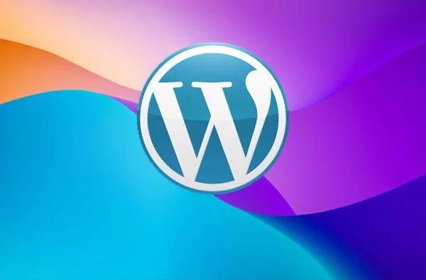Wordpress Web Sitesi